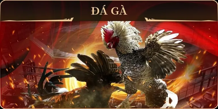 Làm Chủ Cách Chơi Đá Gà GA28 Tại ABC8 Để Thắng Tiền Tỷ