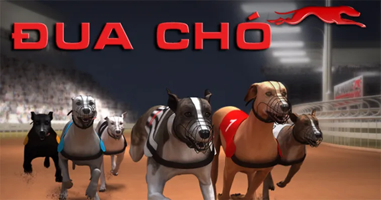 Mẹo Cược Cách Chơi Game Nhanh Đua Chó Tại ABC8 Luôn Thắng 2 Mẹo Cược Cách Chơi Game Nhanh Đua Chó Tại ABC8 Luôn Thắng