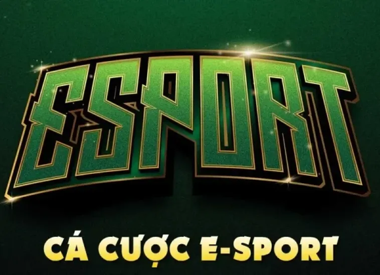 Hướng Dẫn Cách Chơi Thể Thao Điện Tử ABC8 Từ A Đến Z 1 Hướng Dẫn Cách Chơi Thể Thao Điện Tử ABC8 Từ A Đến Z